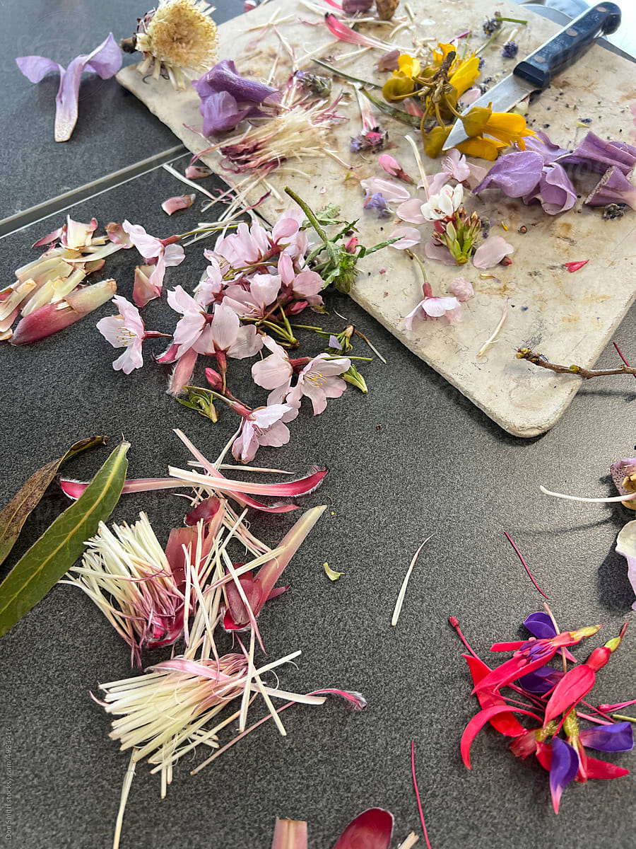 Flower dissection
