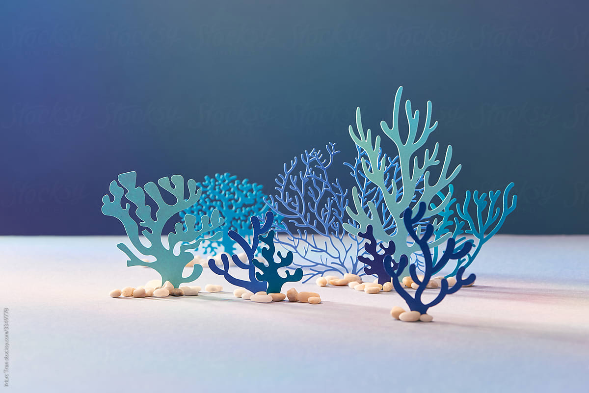 Blue and green underwater species, marine creatures