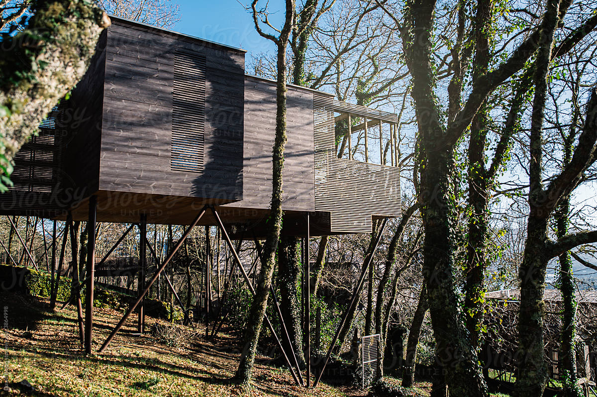 Modern stilt house located on hill in nature