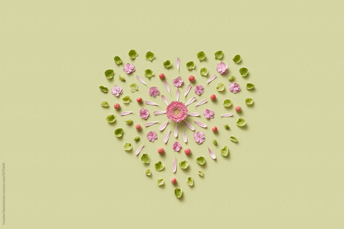 Heart shape made of pink aster, petals, leaves and apples