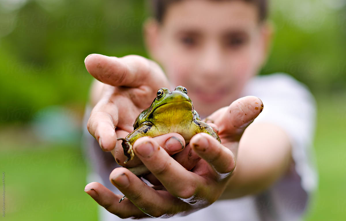 Boy Holding Frog