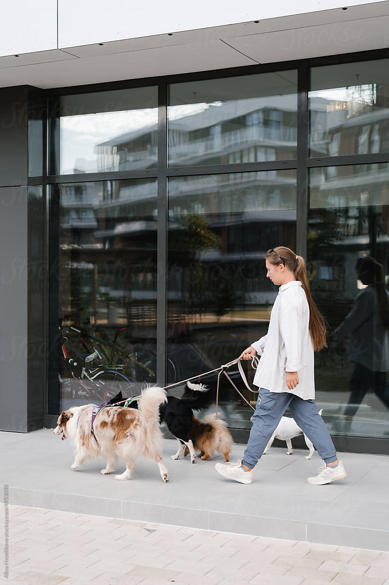 Female cynologist walking on street with pets
