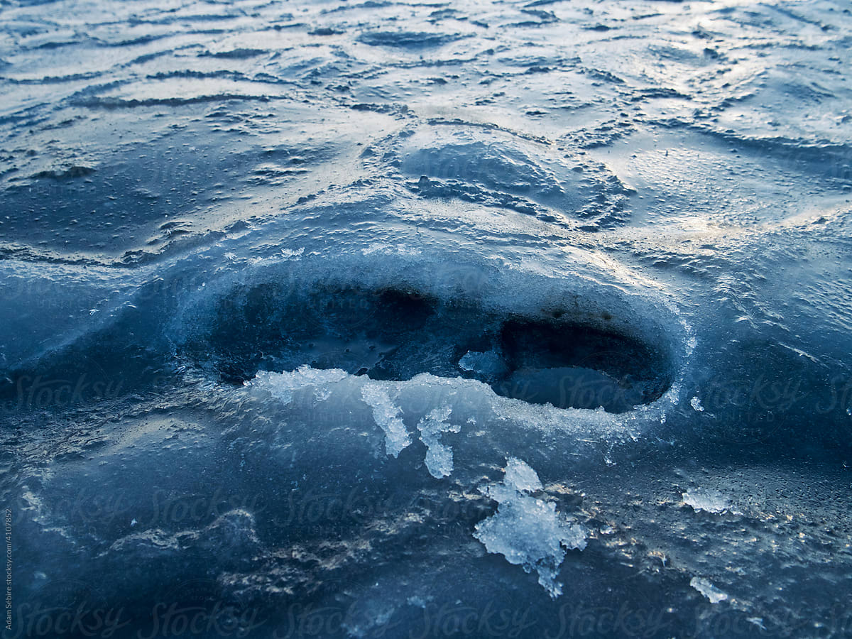 Human impact - footprint in icy snow, Arctic winter sea ice