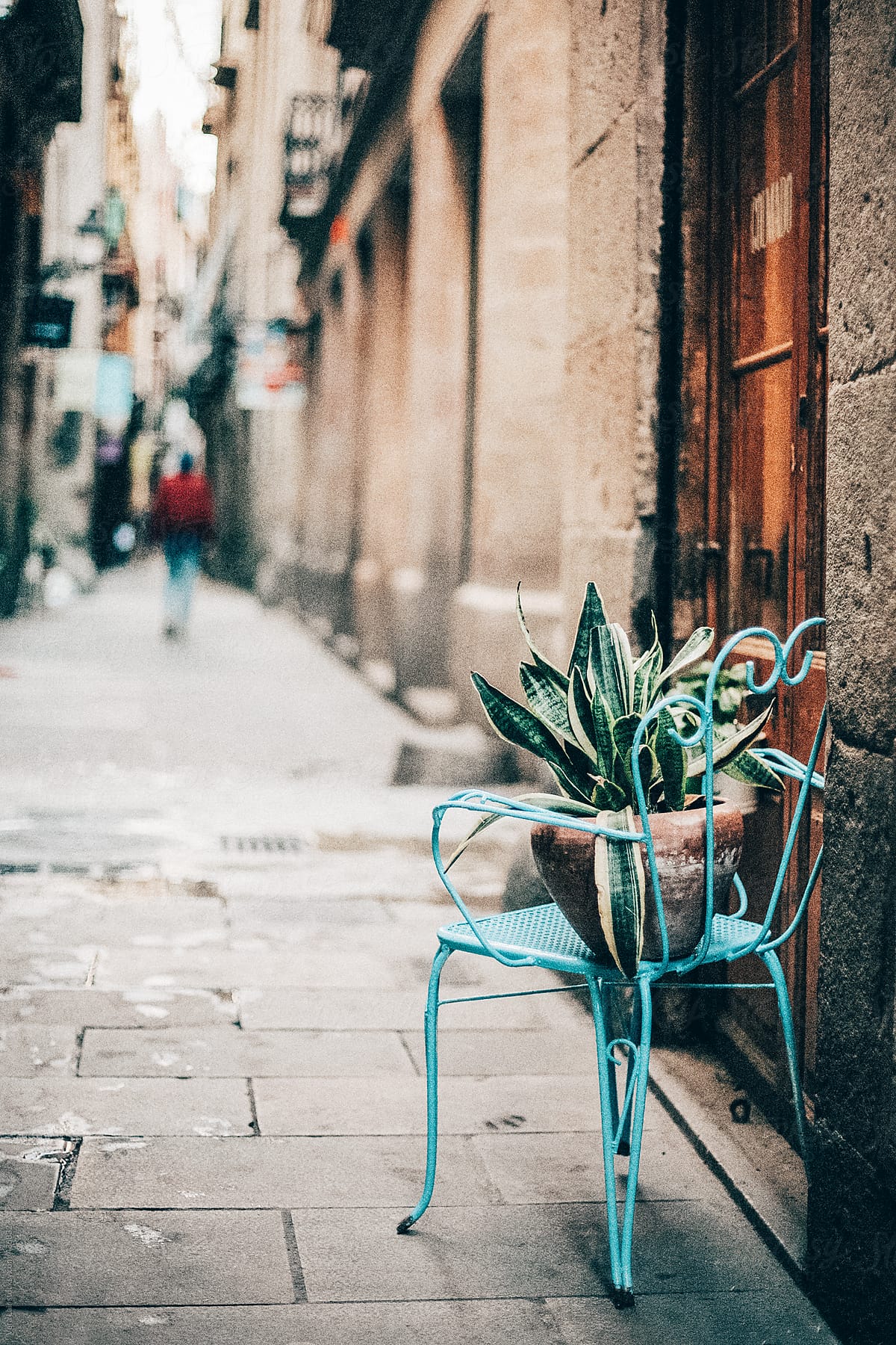 Street of Barcelona, with chair and plant