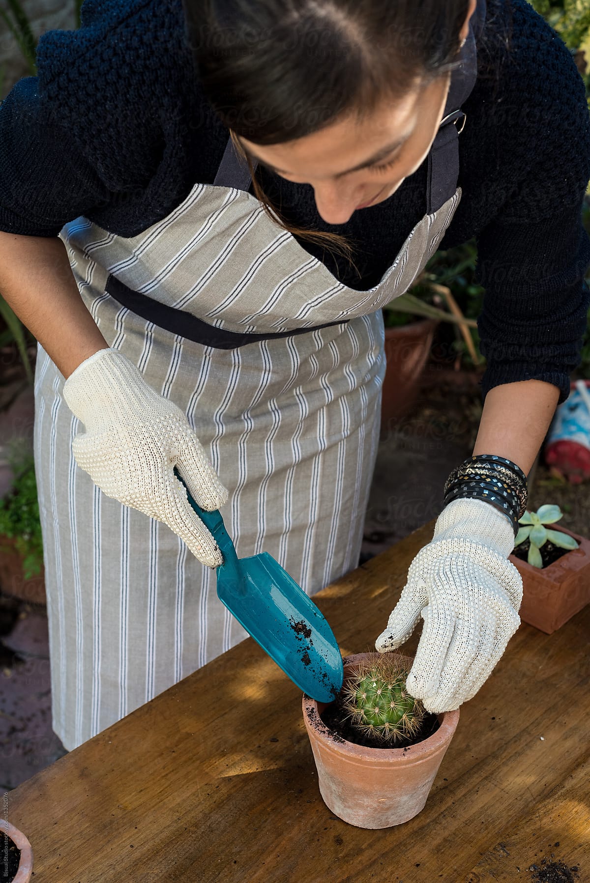Female gardener planting cacti