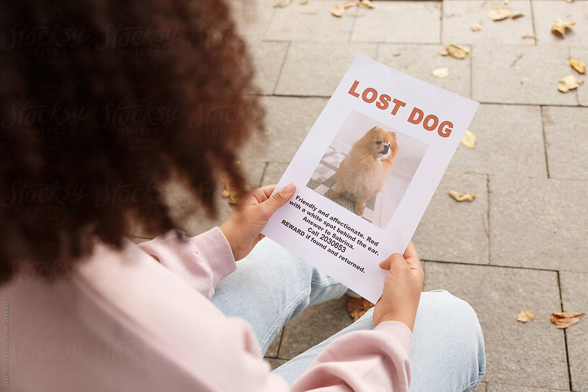 Crop female sitting on street with lost dog poster