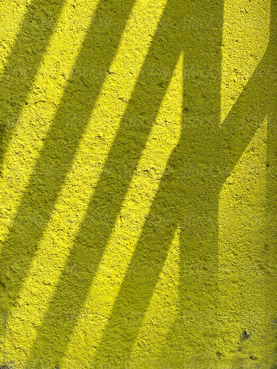 Sunlight falling on  yellow coloured cemented wall