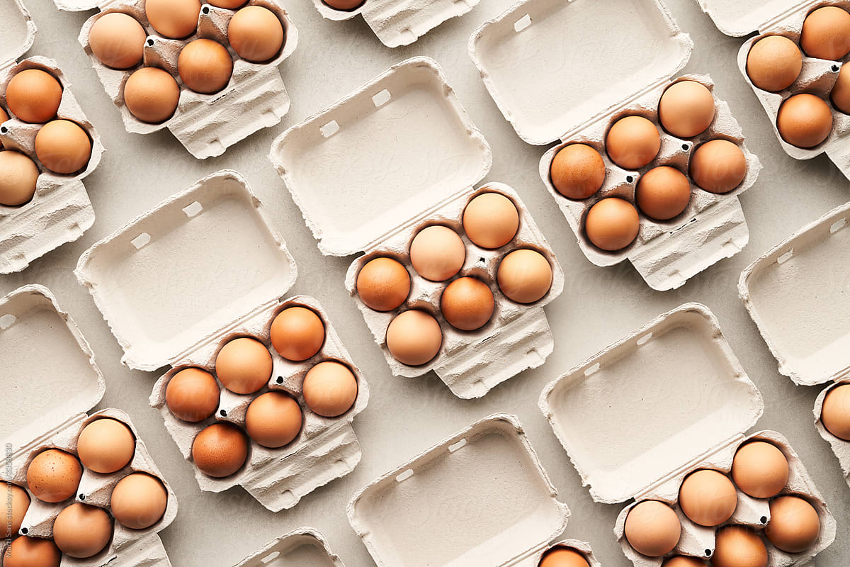 Carton boxes with eggs in rows
