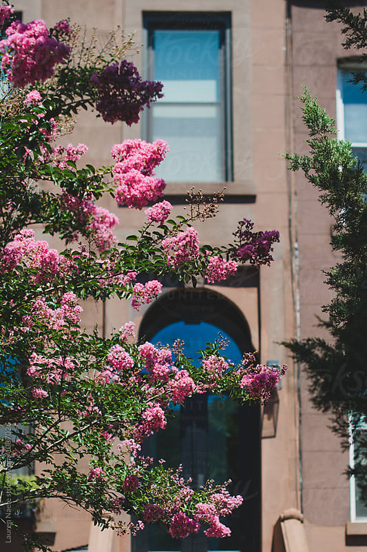 Brownstone apartment building with lush flowers
