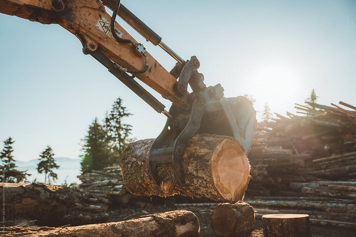 excavator shovel with wooden log
