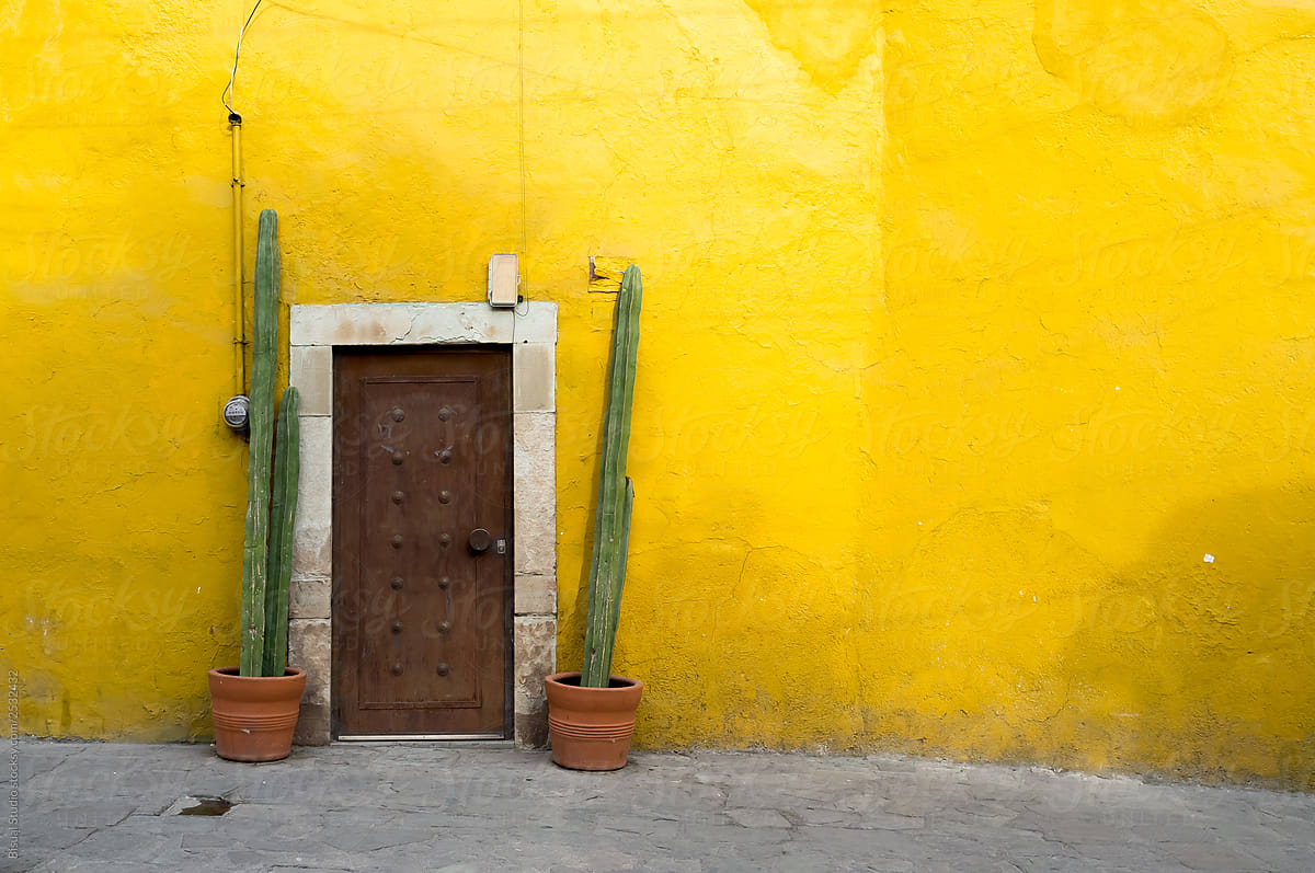 Yellow facade with cactus in Mexico