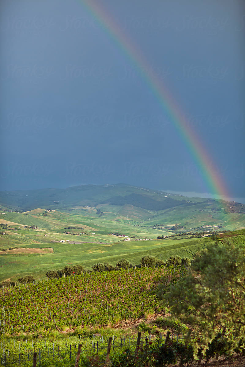 Rainbow and Field