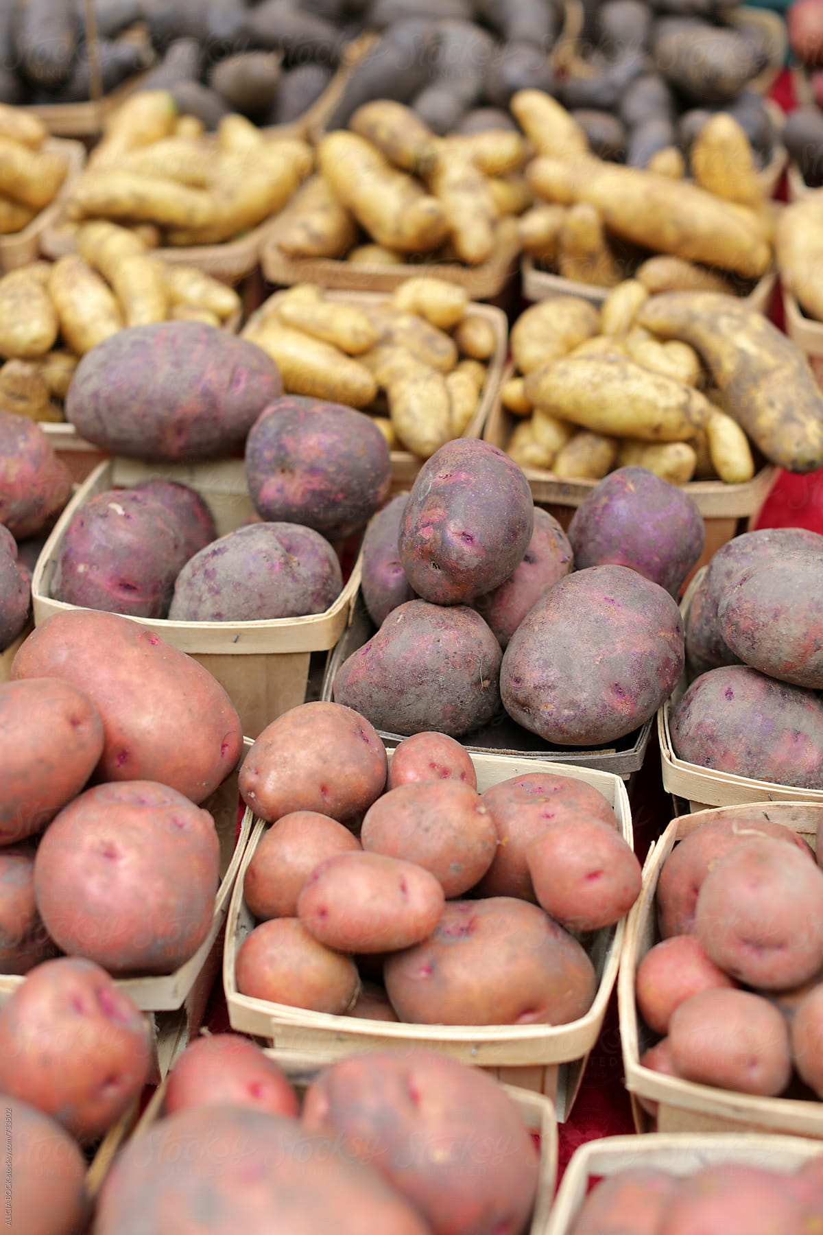 Rows Of Colorful Potatoes For Sale At A Farmer's Market