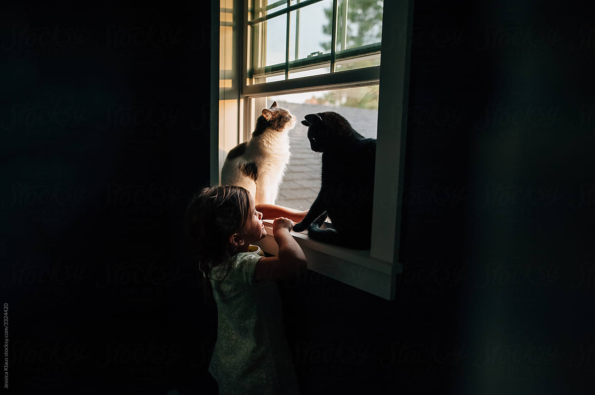 Little girl playing with cats in the window.