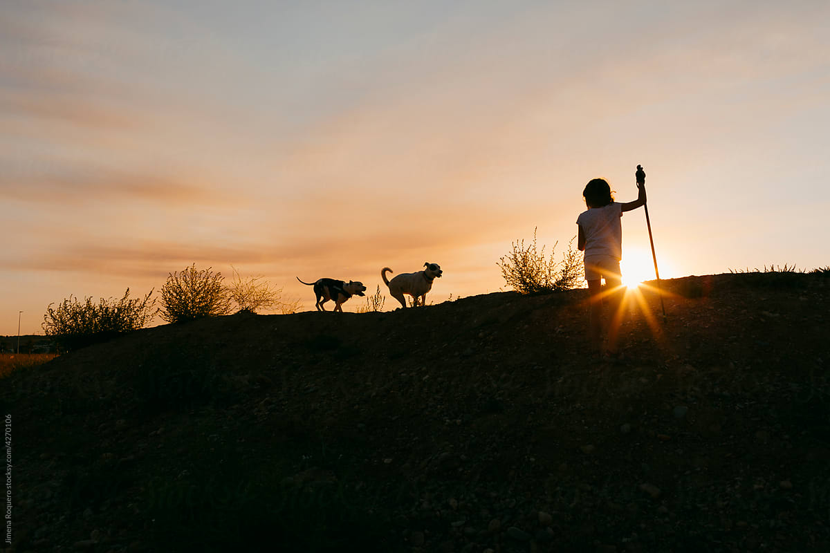 Kid and two dog at sunset climbing a hill