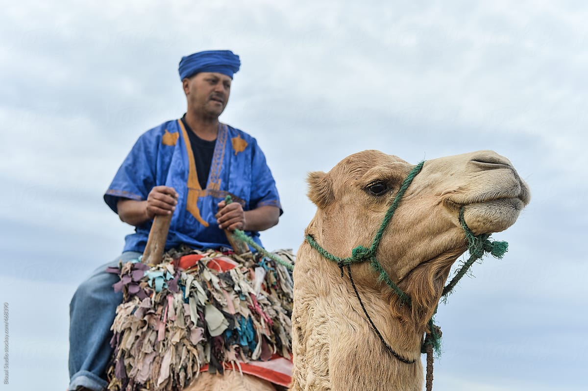 Camel rider