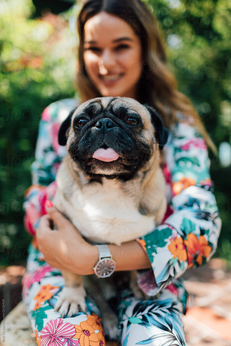 Loved Pug With His Owner