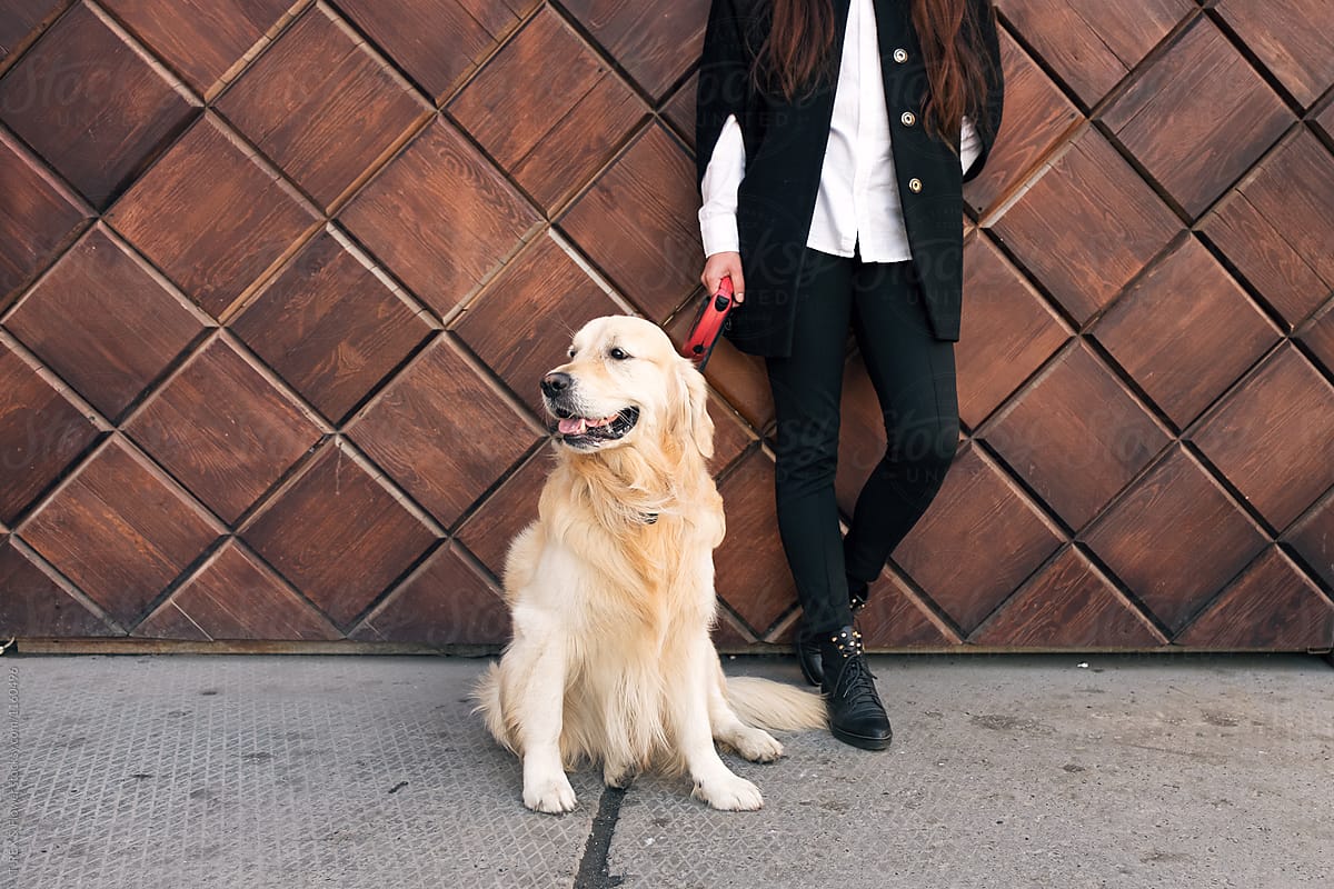 Stylish woman in black coat with white dog on lead.