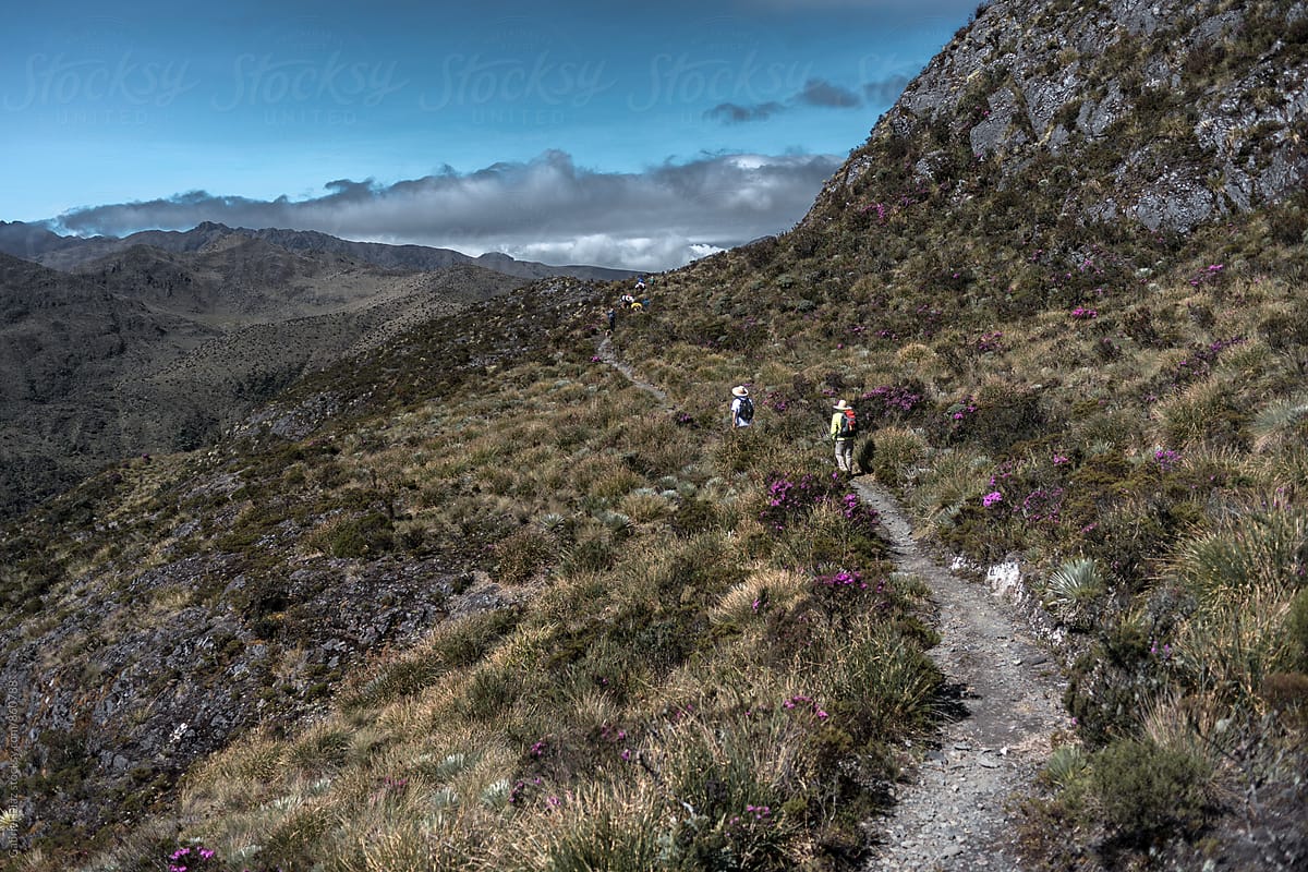 Hiking in South American Andes. Venezuela