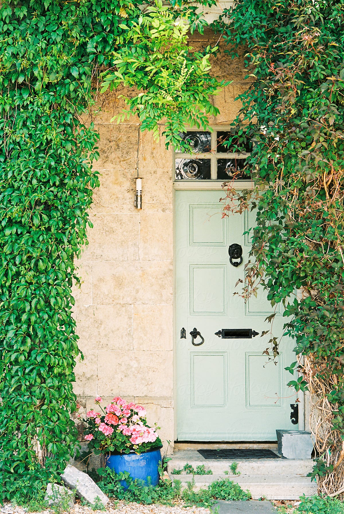 light green door with vines