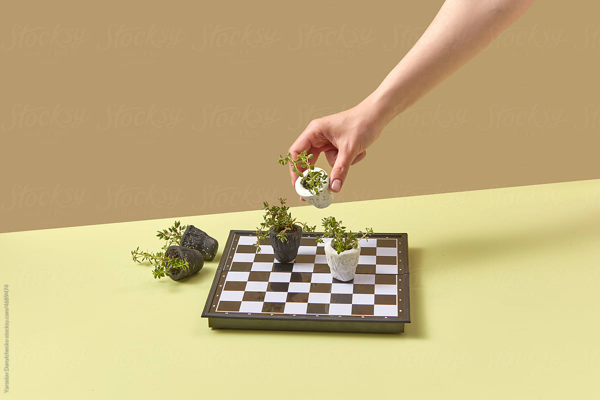 Person playing chess with potted plants