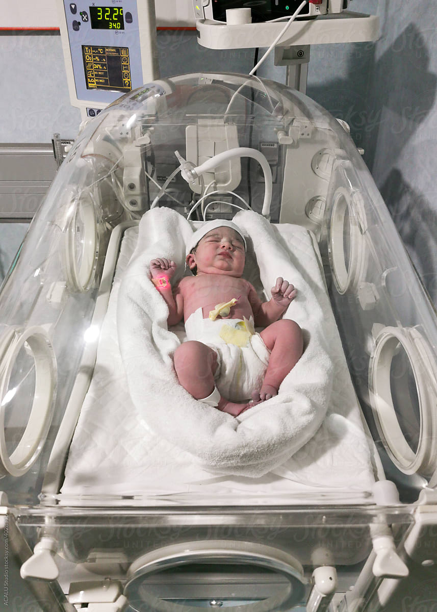 Newborn Baby In An Incubator