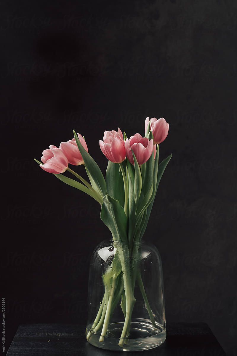 Jar vase of tulips on black background