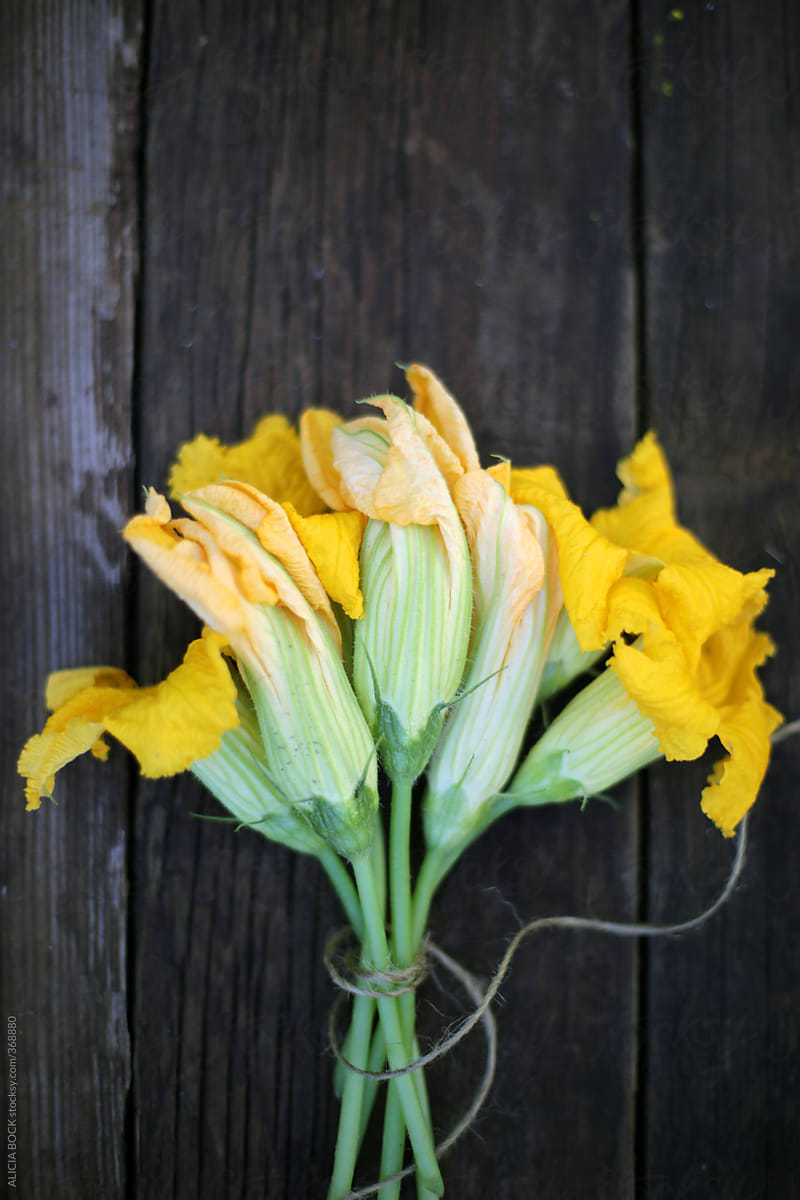 Vibrant Yellow Squash Blossom Freshly Picked From The Garden