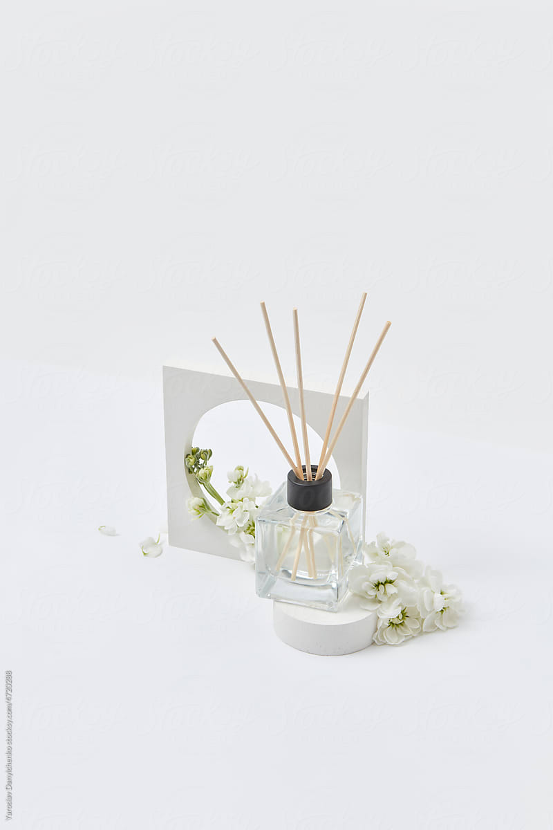 Interior design with aroma diffuser and jasmine and clay frame.
