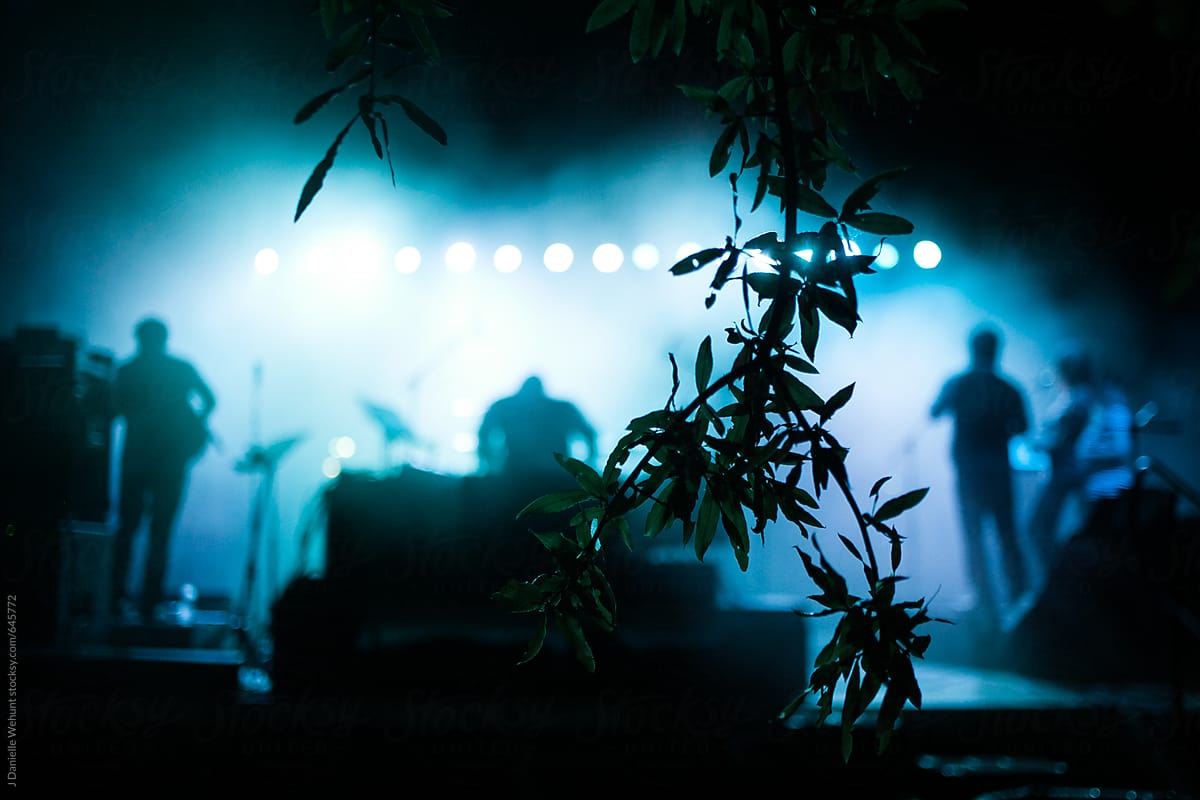 Silhouette of musical band performing with silhouetted leaves and branches in foreground