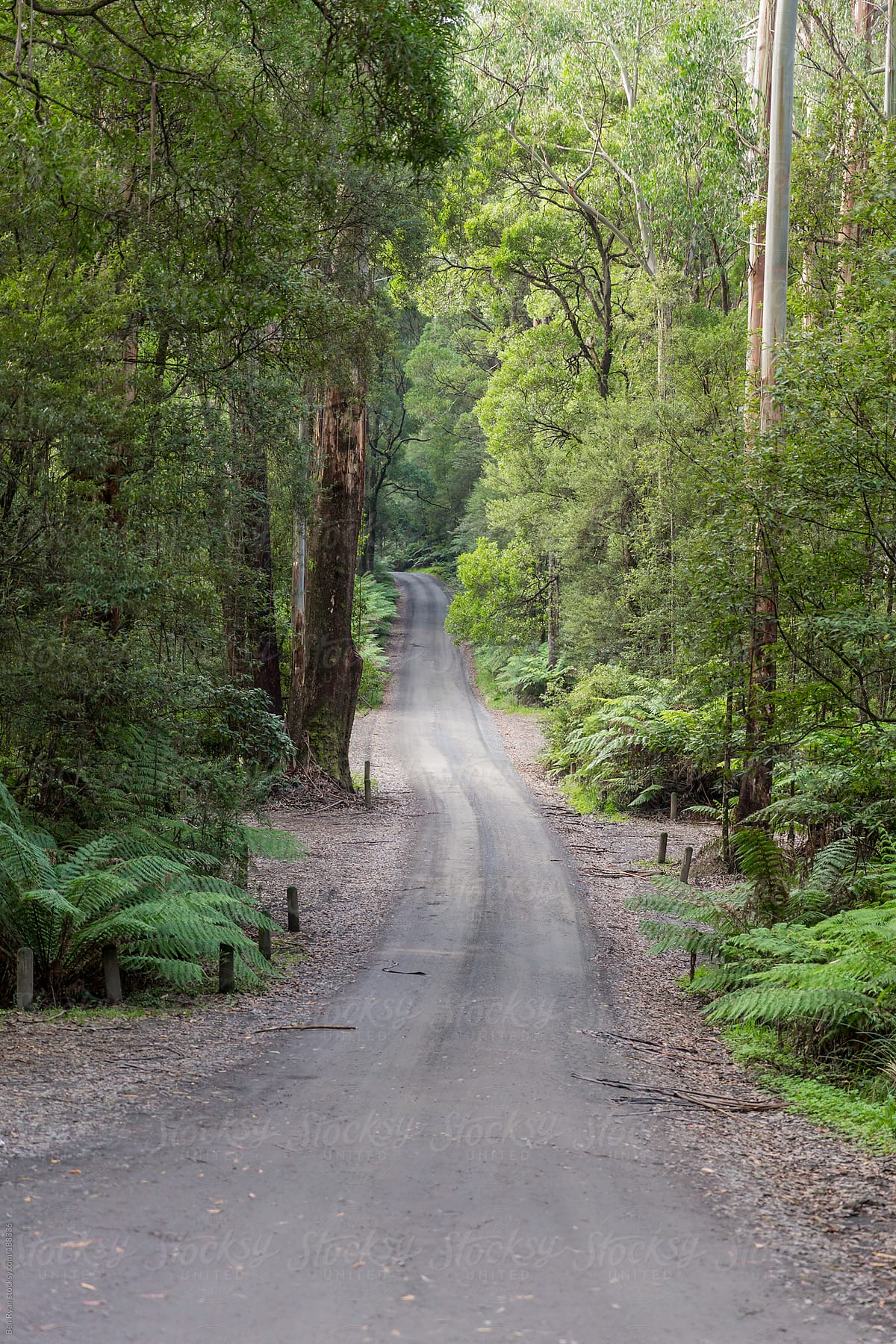 Gravel road and carpark in the middle of the Australian Bush