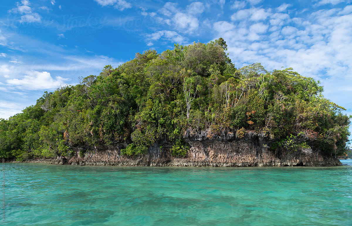 Coastline of tropical forest in Sugba Lagoon at Siargao Island, Philippines.