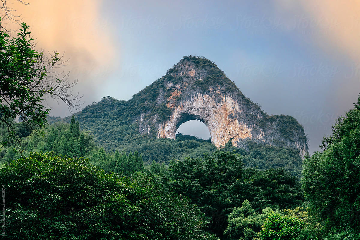 Arched hill amidst green trees