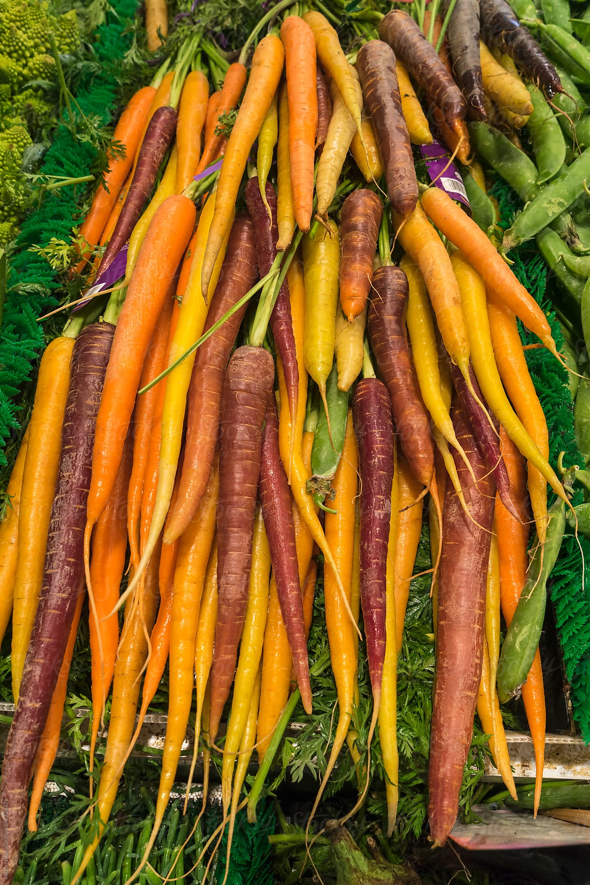 Multi colored organic carrots at a farmers market
