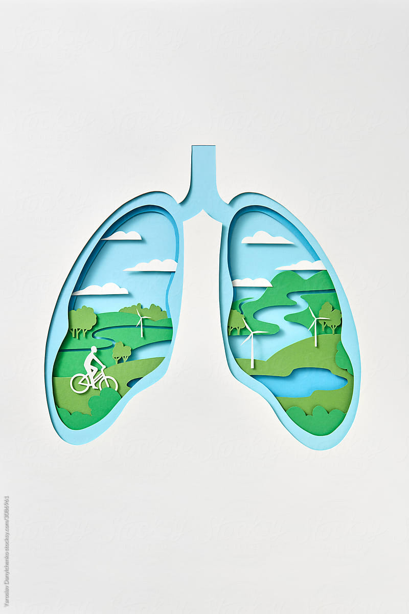 Papercraft model of lungs with natural landscape and man riding a bike.