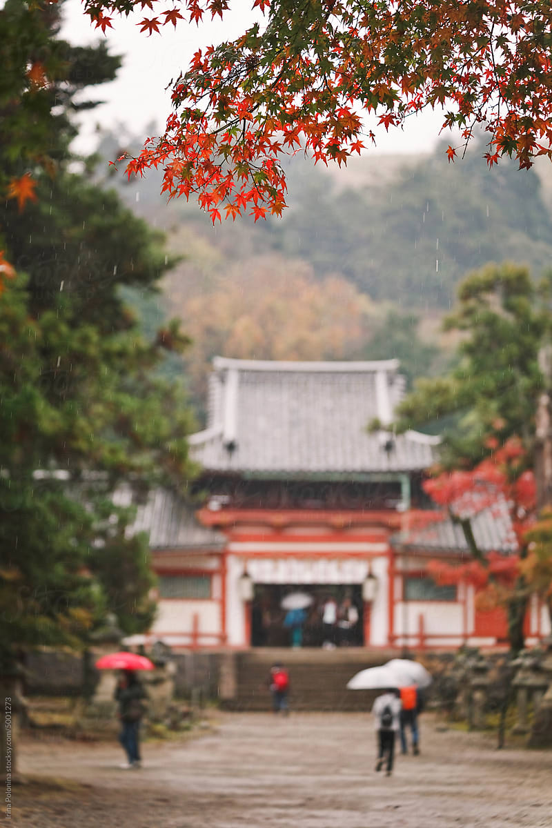 Autumn Japanese Park.