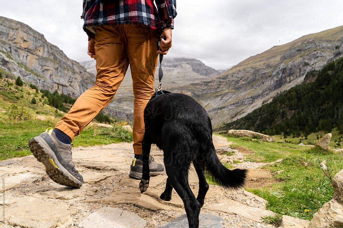 Hiker man with his dog walking in the mountain