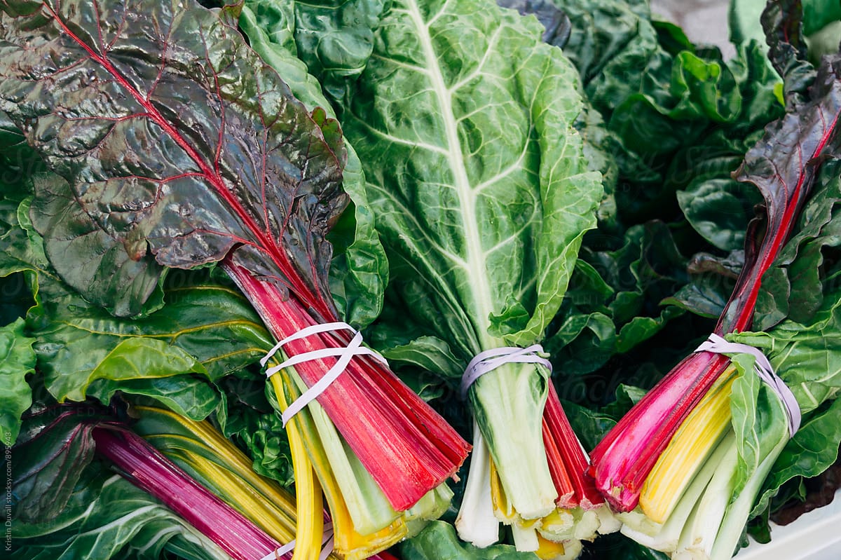 Bunches of rainbow chard