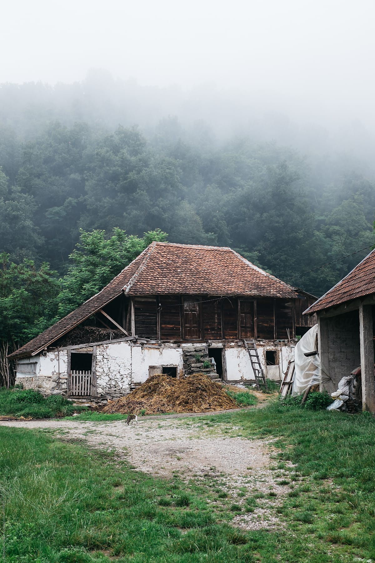 Traditional Serbian Stable From XIX Century