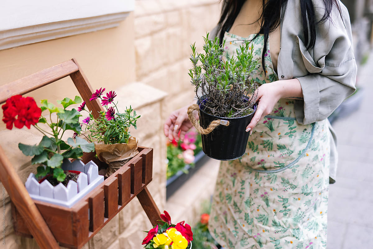 Floral worker setting up shelf with houseplants outdoor shop
