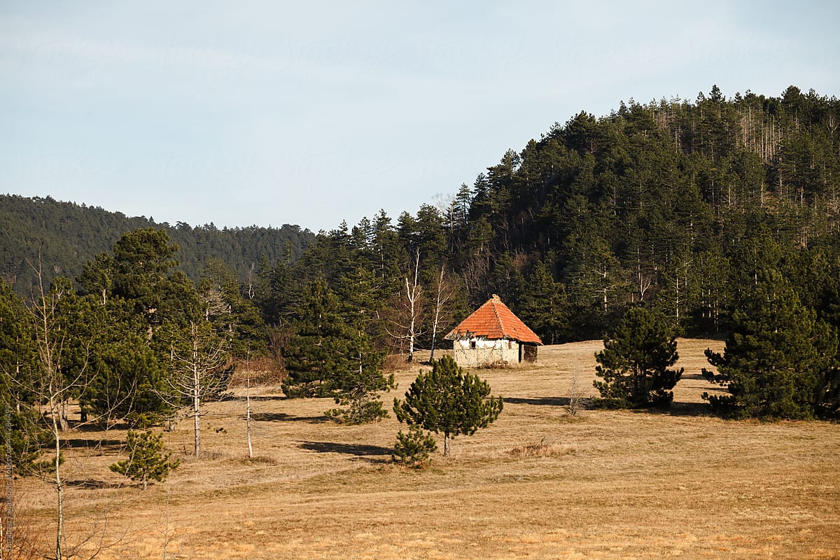 Small house in landscape with field and forest