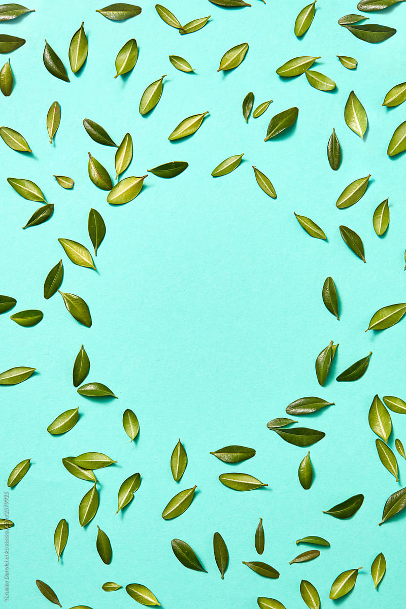Pattern of green leaves on a turquoise background
