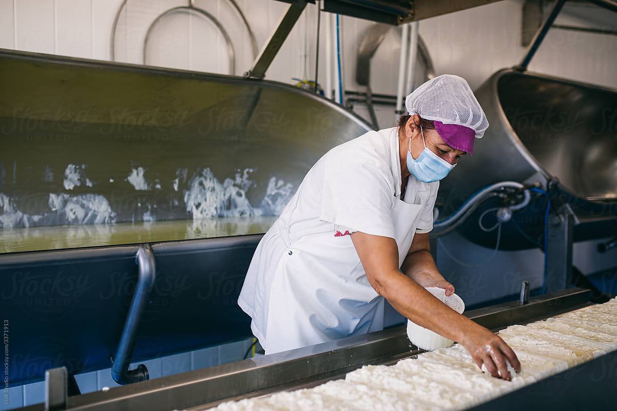 Woman working at cheesemaking factory
