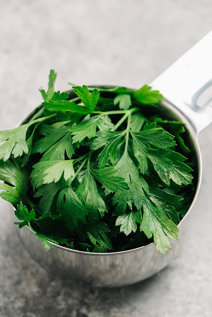 Italian Parsley in a measuring cup
