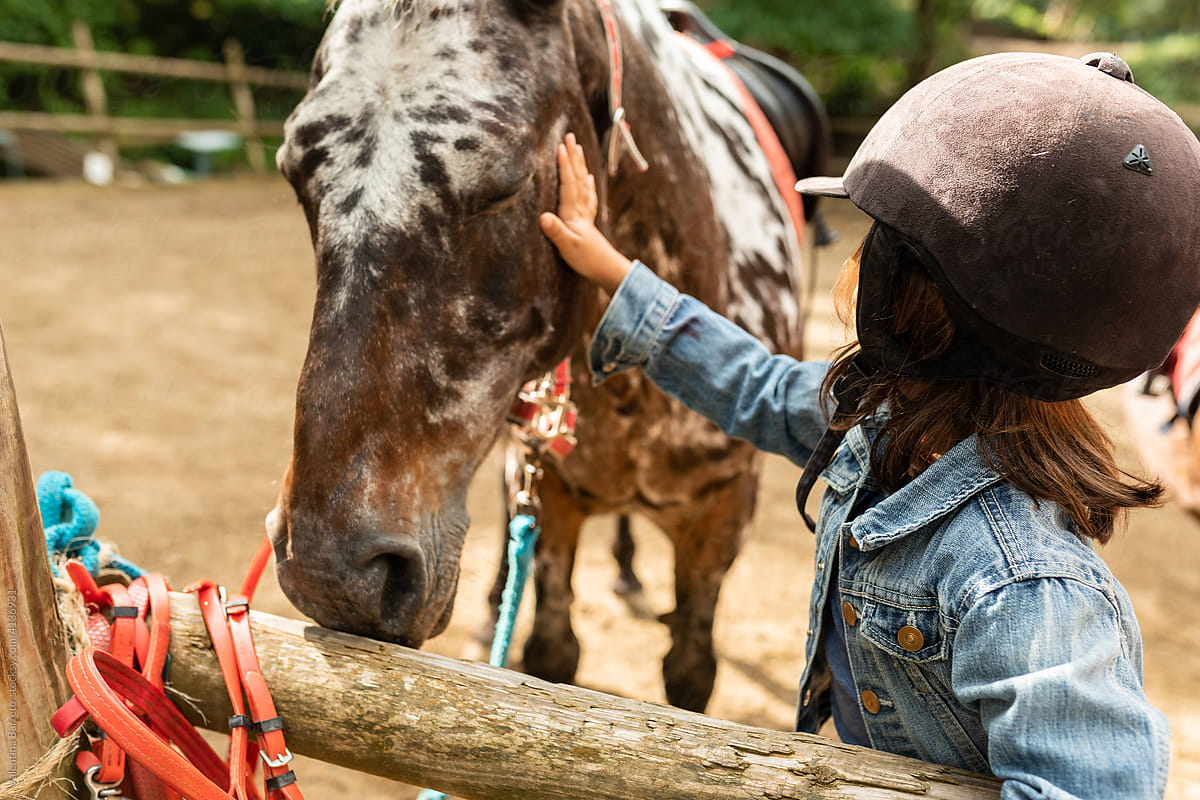 Kid caressing an horse at stable