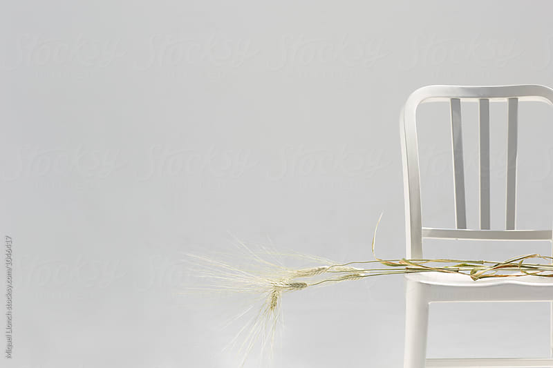 Metallic chair with plants of cammut wheat
