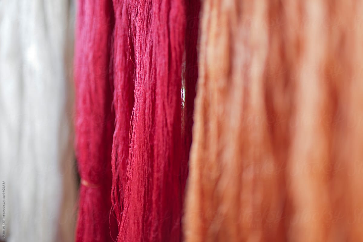 Dyed Silk Fibers Hanging to Dry