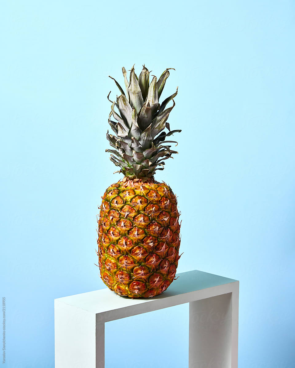Tropical pineapple fruit single standing on a white square frame on blue background