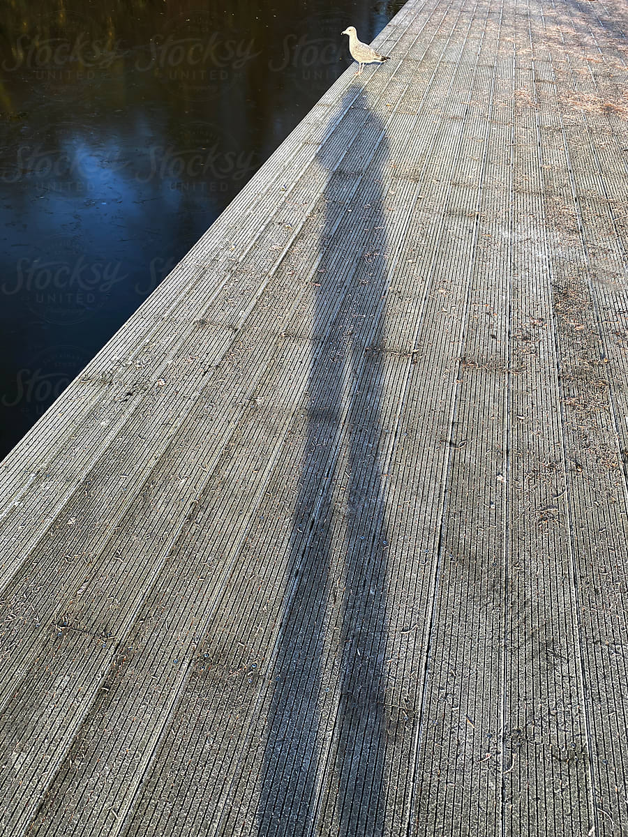 long shadow on boardwalk
