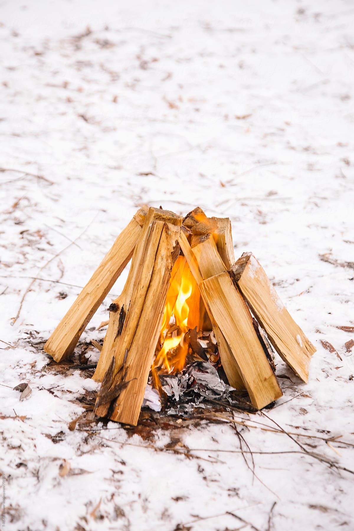 Photo of handmade fire in winter forest